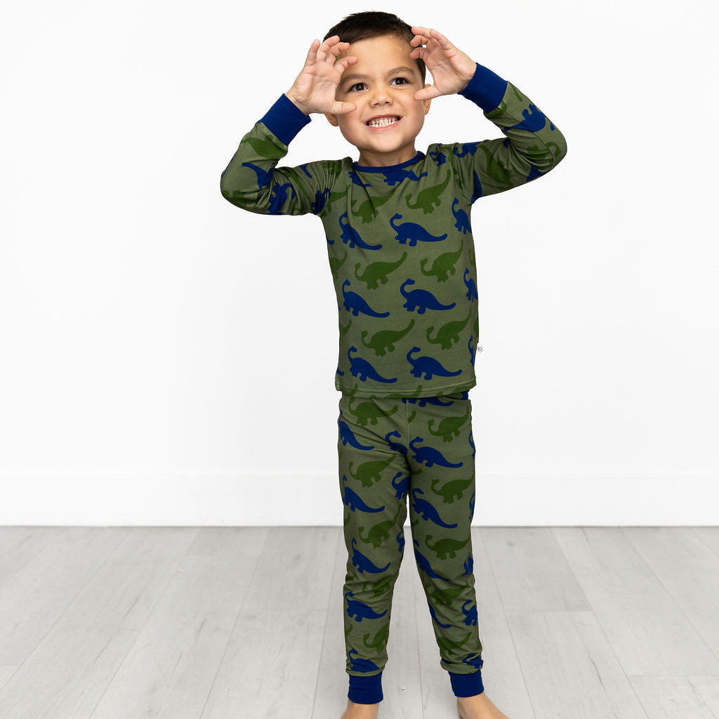 Dinosaur Long Sleeve Bamboo Sleep Set