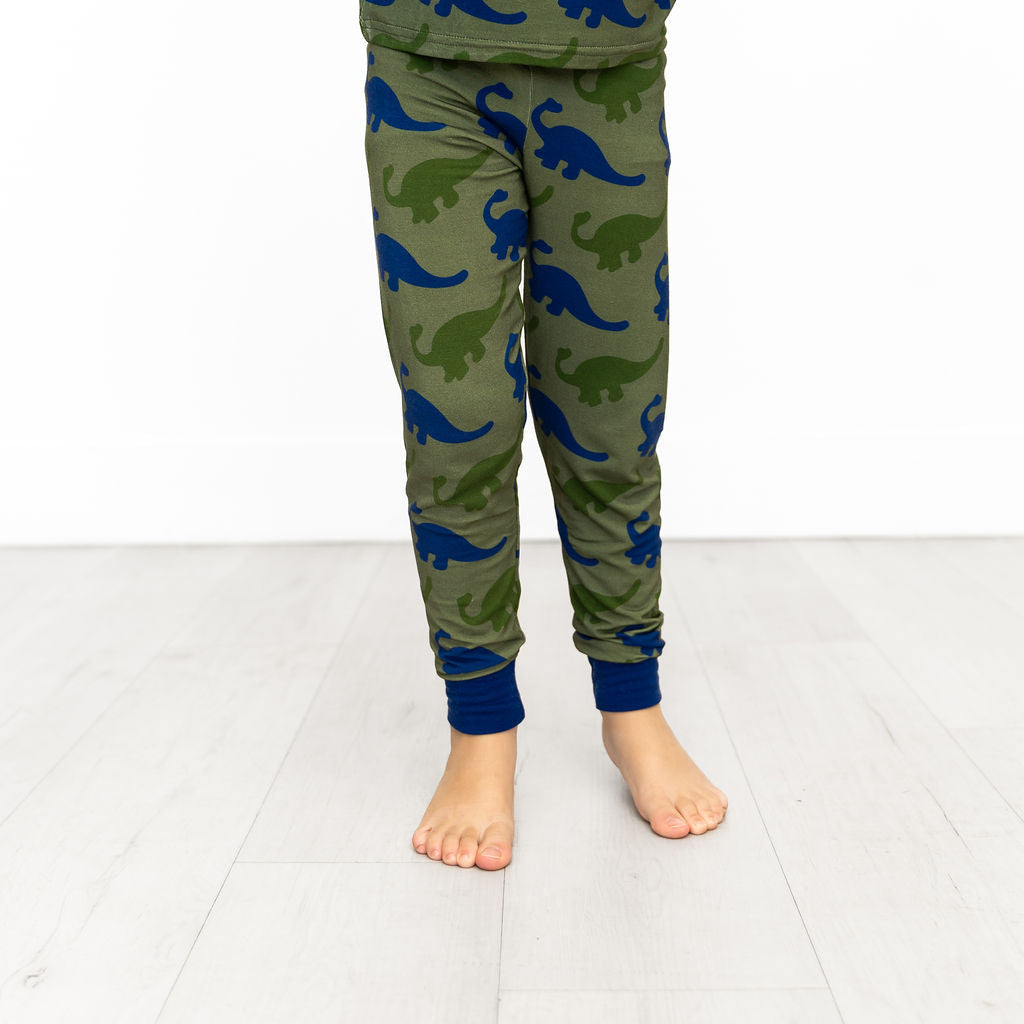 Dinosaur Long Sleeve Bamboo Sleep Set